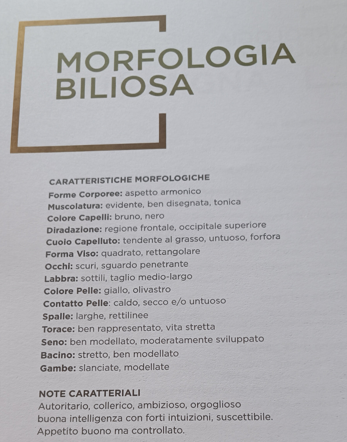 My body pro crema cellulite fibrosa